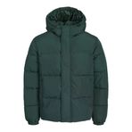 Jack Jones Erkek Essentials Jjebradley Comfort Fit Kapüşonlu Yeşil Mont 12256974Y