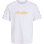 Jack & Jones Erkek Gögüs Logo Baskili Tisört - Catskill - Beyaz