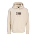 JACK & JONES Erkek Jcoterrain Sweat Hood FST kapüşonlu kazak, Moonbeam, M