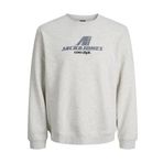 JACK & JONES Erkek Jcotier Print Sweat Crew Neck, beyaz melanj, L