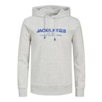 JACK & JONES Erkek Jjalvis Sweat Hood kapüşonlu kazak, beyaz melanj, M