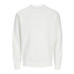 JACK & JONES Erkek Jjebradley Sweat Crew Noos, Cloud Dancer., XXL