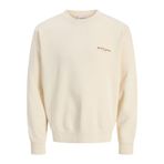 JACK & JONES Erkek Jjedover Print Sweat Crew Neck, Antik Beyaz, XXL