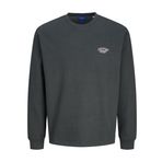 JACK & JONES Erkek Jorbronx Arch Small Sweat Crew Neck Sweatshirt, Forest River, S