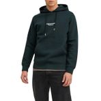JACK & JONES Erkek Jorvesterbro Sweat Hood Noos Kapüşonlu Sweatshirt, Magical Forest, XXL