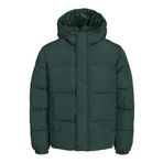 JACK & JONES Erkek kapitone ceket, Magical Forest, L