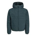 JACK & JONES Erkek kapitone ceket, Magical Forest, XXL