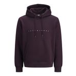 JACK & JONES Erkek kapüşonlu kazak JJESTAR JJ Sweat Hood - Relaxed Fit, Erik Mükemmel, M