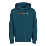 JACK & JONES Erkek kapüşonlu kazak logolu kapüşonlu kazak, Derin Cam Göbeği, L