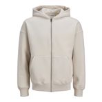 JACK & JONES Erkek kapüşonlu kazak, tek renkli, kapüşonlu kazak, Moonbeam, XL
