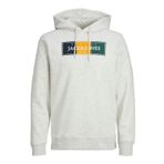 JACK & JONES Erkek kapüşonlu sweatshirt, beyaz melanj, S