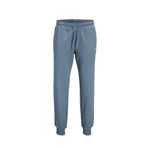 Jack & Jones Erkek Mavi Eşofman Altı M Beden JPSTGORDON ARCHIVE Modeli