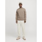 Jack & Jones Erkek Normal Kalip Paçasi Lastikli Esofman Alti - Morgan - 12257964 Moonbeam