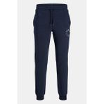 Jack & Jones Erkek Pantolon - Lacivert - M