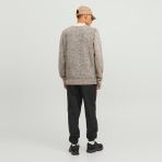 Jack & Jones Erkek Regular Fit Dik Yaka Kazak - Space - 0019-Bej - M
