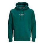 Jack Jones Erkek Regular Fit Kanguru Cepli Yumuşak Dokulu Yeşil Kapüşonlu Sweatshirt 12216335Y