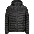 Jack & Jones Erkek Şişme Mont - Siyah