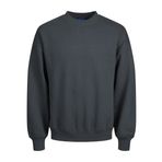 JACK & JONES Erkek Sweatshirt Tek Renkli Sweatshirt, Forest River, XXL