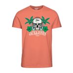 JACK & JONES Erkek tişörtü, Kanyon Gün Batımı, L