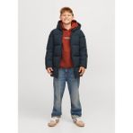 Jack & Jones Füme Erkek Şişme Mont 12260475 - 10 Yaş