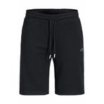 Jack Jones Gordon Regular Fit Erkek Şort 12289726