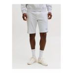 Jack Jones Gordon Regular Fit Erkek Şort 12292136