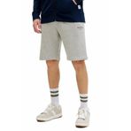 Jack & Jones Jack Jones Gordon Archive Regular Fit Erkek Şort 12288638