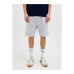 Jack & Jones Jack Jones Gordon Bradley Regular Fit Erkek Şort 12249285