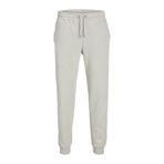 Jack & Jones Jack Jones Gordon Estar Erkek Eşofman Altı 12248838