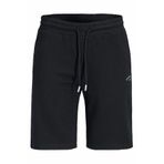 Jack & Jones Jack Jones Gordon Regular Fit Erkek Şort 12289726