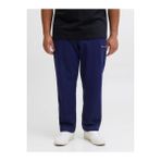 Jack & Jones Jack Jones Jpstkane Norrebro Sweat Pants Pls Erkek Lacivert Eşofman Altı 12287504-04