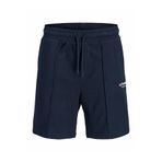 Jack & Jones Jack Jones Kane Soho Relax Fit Erkek Şort 12288620