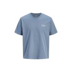Jack & Jones Jjearchıve Graphıc Tee Ss O-Neck Noos Mavi Erkek T-Shirt 12287990