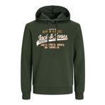 JACK & JONES JJELOGO SWEAT HOOD 2 COL 24/25 NOOS Erkek Sweatshirt, Kombu Green, XXL