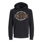 JACK & JONES JJELOGO SWEAT HOOD 2 COL 24/25 NOOS Erkek Sweatshirt, Siyah, XL