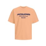 Jack & Jones Jjgale Tee Ss O-Neck Kayısı Buz Erkek T-shirt