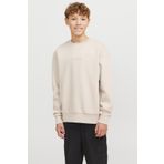 Jack & Jones Jjtaka Sweat Crew Neck JN Bej Erkek Çocuk Sweatshirt