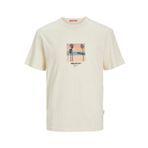 Jack & Jones Joraruba Small Photo Tee Ss Crew Neck Krem Rengi Erkek T-shirt