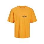 Jack & Jones Jorbrink Studio Tee SS Iceland Poppy Bisiklet Yaka Erkek T-shirt