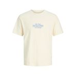 Jack & Jones JORCASSIS Minimal Tişört Bisiklet Yaka Kısa Kollu Rahat Günlük, S, 12295049, krem, Erkek