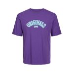 Jack & Jones Joreuphori Tee Ss Crew Neck Tg Derin Lavanta Erkek T-shirt