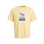 Jack & Jones Jorsplash Photo Tee Ss Crew Neck Sarı Bej Erkek T-shirt