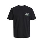 Jack & Jones Jortampa Back Tee Ss Crew Neck Sn Siyah Erkek T-shirt