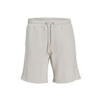 Jack & Jones Jpstestar Jj Sweat Shorts Gms Erkek Şort 12248831