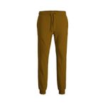 Jack & Jones Jpstgordon Jjshark Sweat Pants At Noos Erkek Kahverengi Eşofman Altı - 12165322