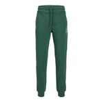 Jack & Jones Jpstgordon Jjswift Sweat Pants Dark Green Erkek Pantolon