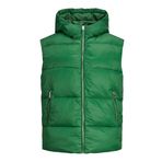 JACK & JONES Kadın JJXX JXBILLIE PUFFER VEST OTW SN Mont, Formal Garden, M