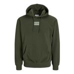 JACK & JONES Kapüşonlu Sweatshirt, S, 12256841, Haki, erkek