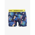 Jack & Jones Lacivert Erkek Boxer 12276165_JACFLOWER BIRD TRUNK TRY