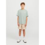 Jack & Jones Lastikli Bel Normal Krem Erkek Çocuk Şort 12275013 - 10 Yaş